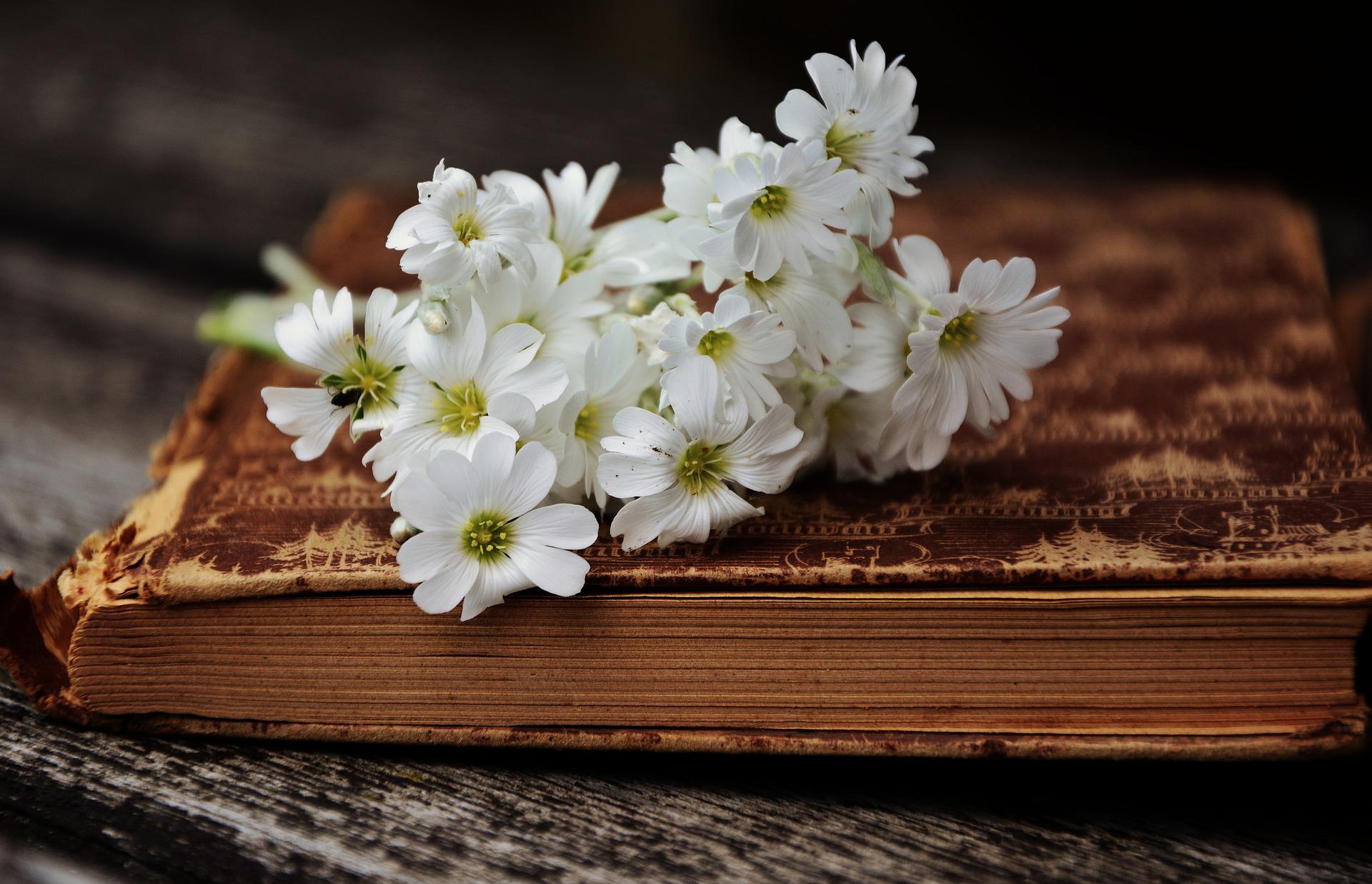 Auf einem alten Buch liegen weiße Blumen.