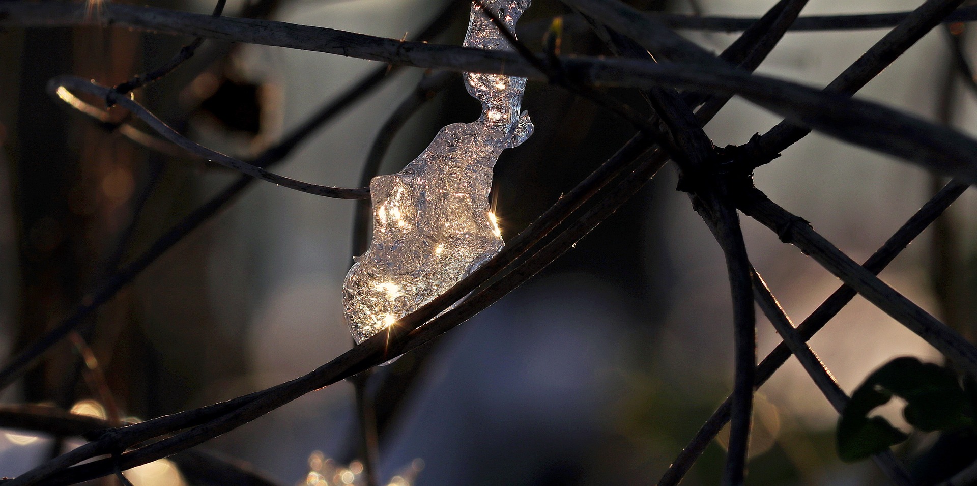 Ein Eisstückchen hängt zwischen Zweigen. In ihm bricht sich das Licht.