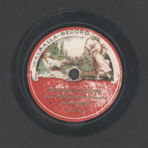 Schnellzugs-Galopp